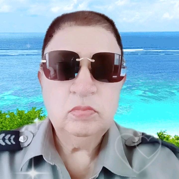 真心相依