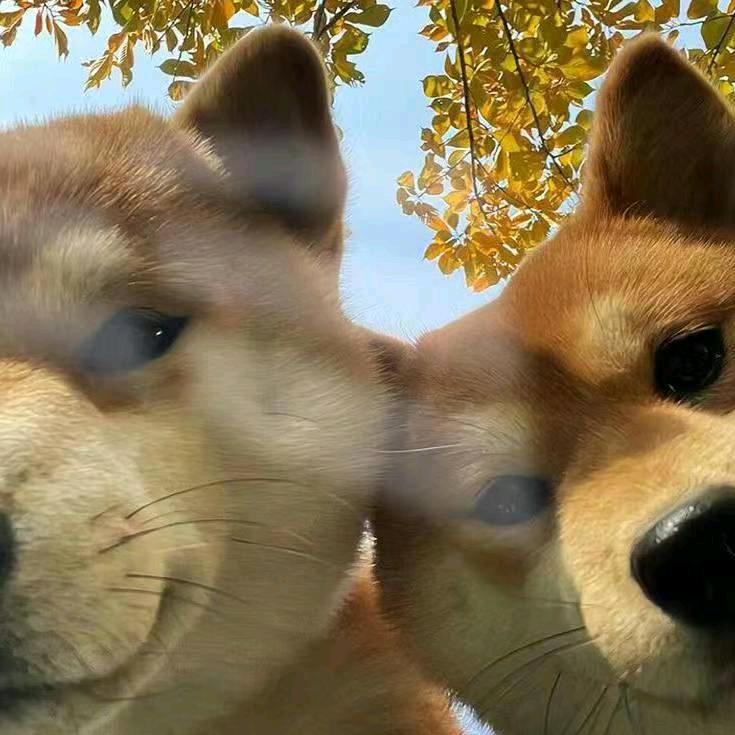小建