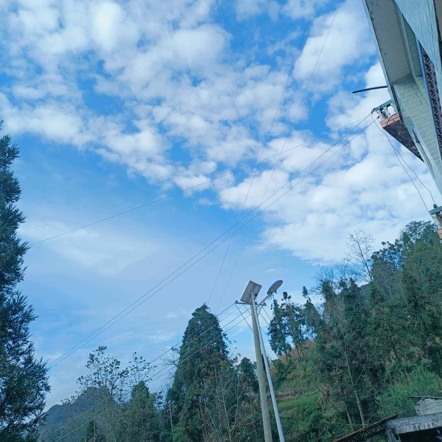 一路向钱(✧∇✧)🥰