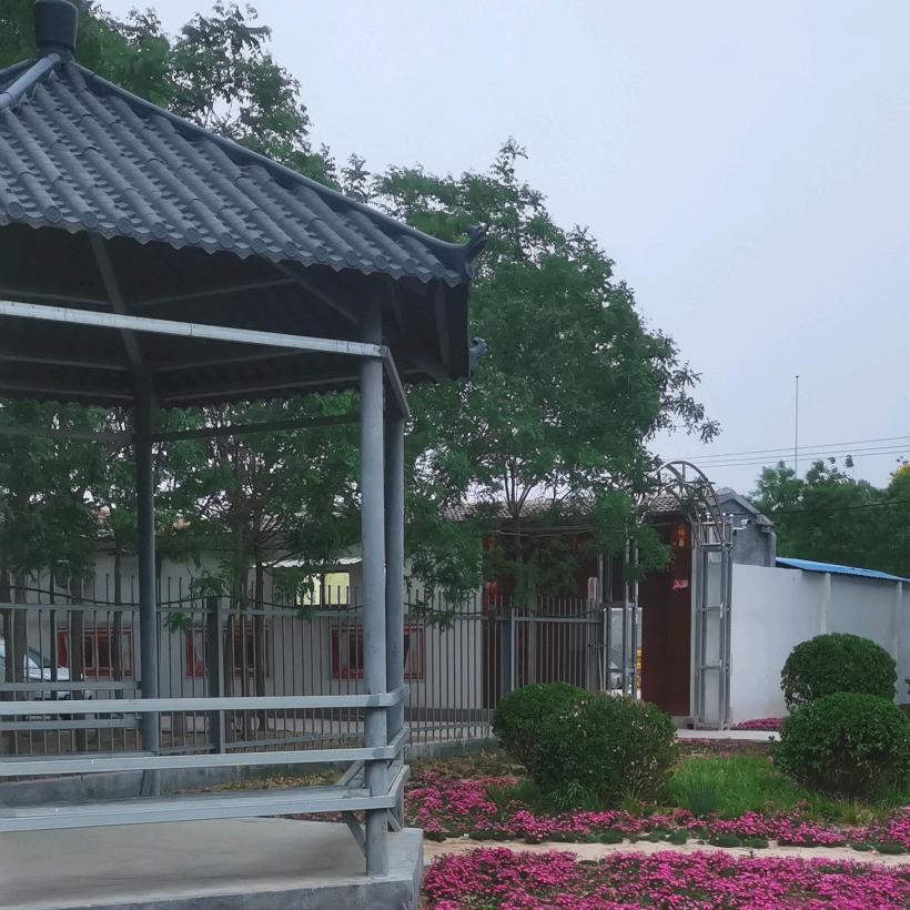 张海训(果黄金)