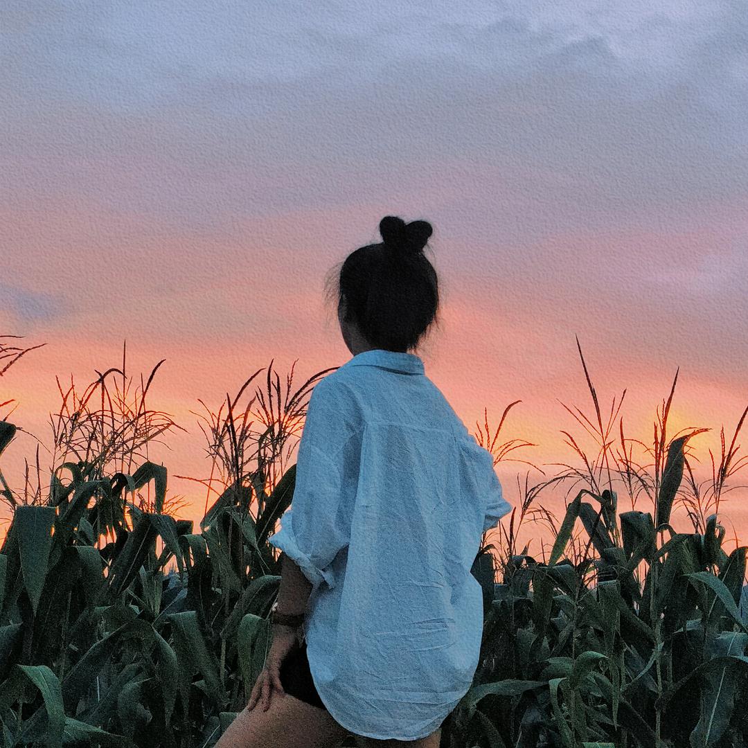 @仙人板板