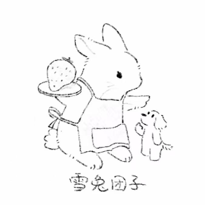 雪兔团子.𝓷𝔂