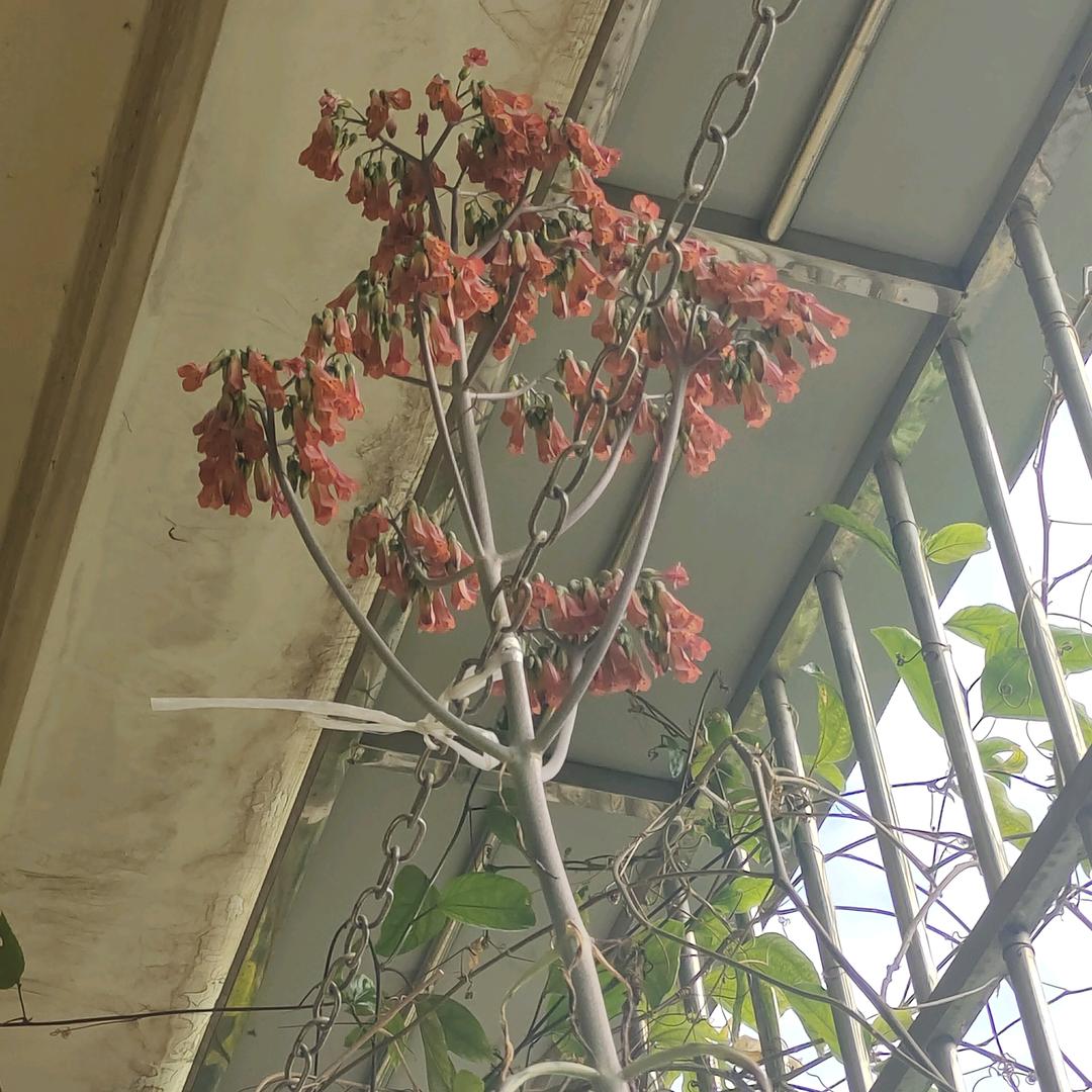 孤单一人挺好