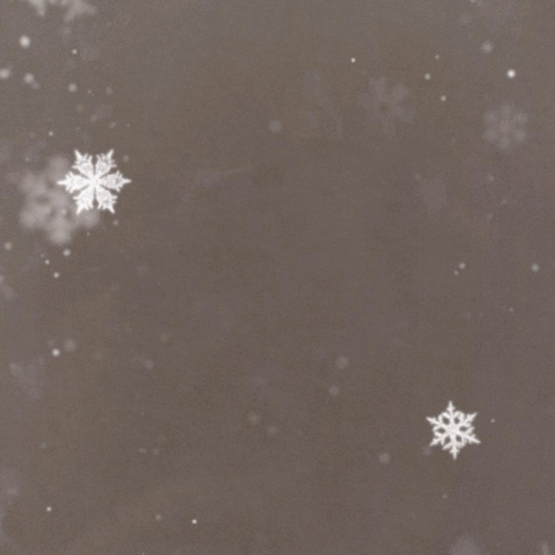 毛毛虫李洁英语老师(代码之猿)