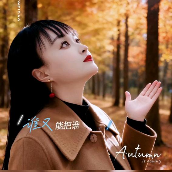 ღ᭄ꦿ恋夜ღ᭄ꦿ谢绝连赞～～