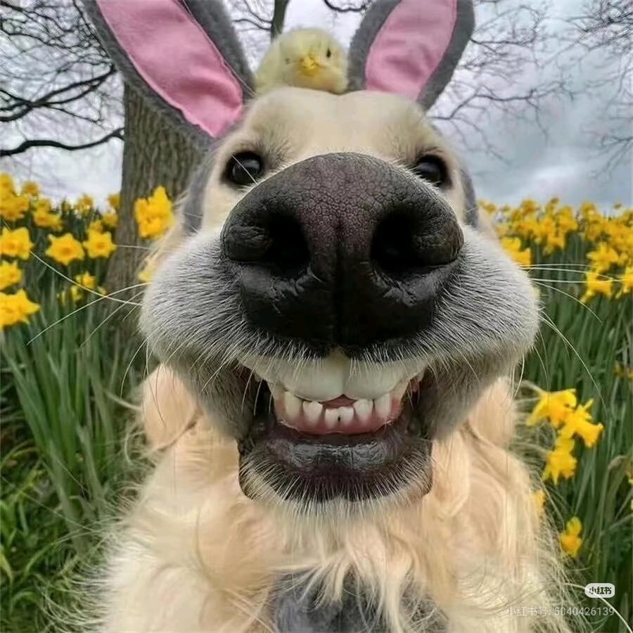 ✨幸运时光集✨