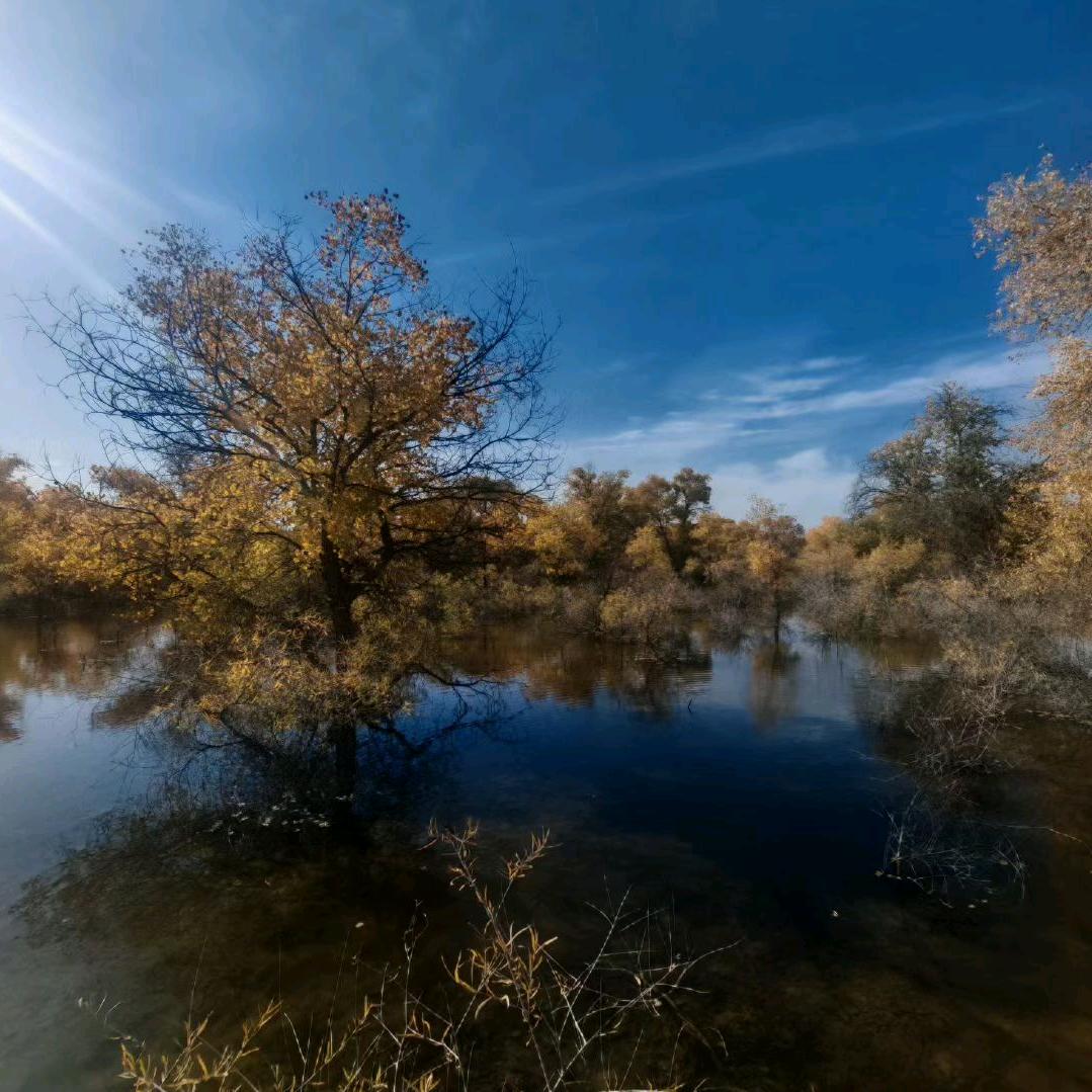 东营堃诚电气王延坤