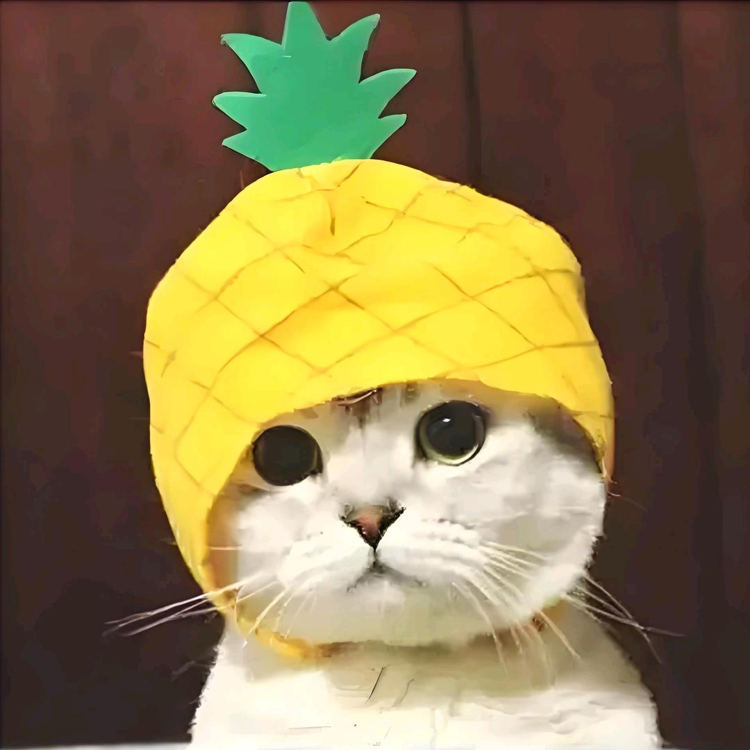 漂浪青春