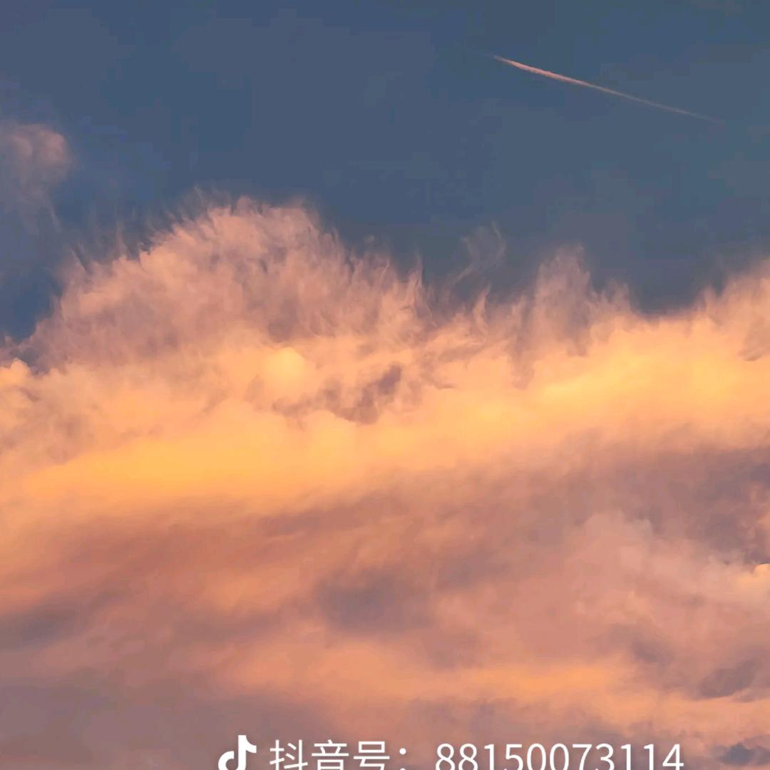 草莓园