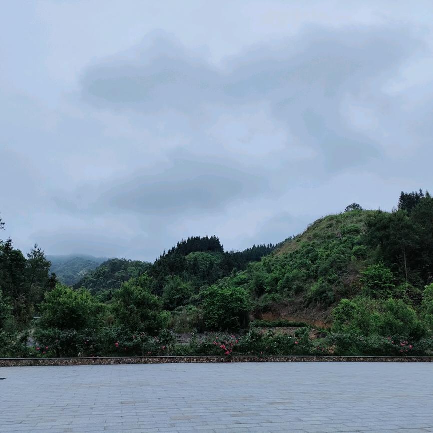 阿超主理