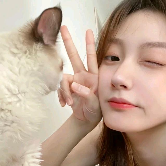 小房子来啦