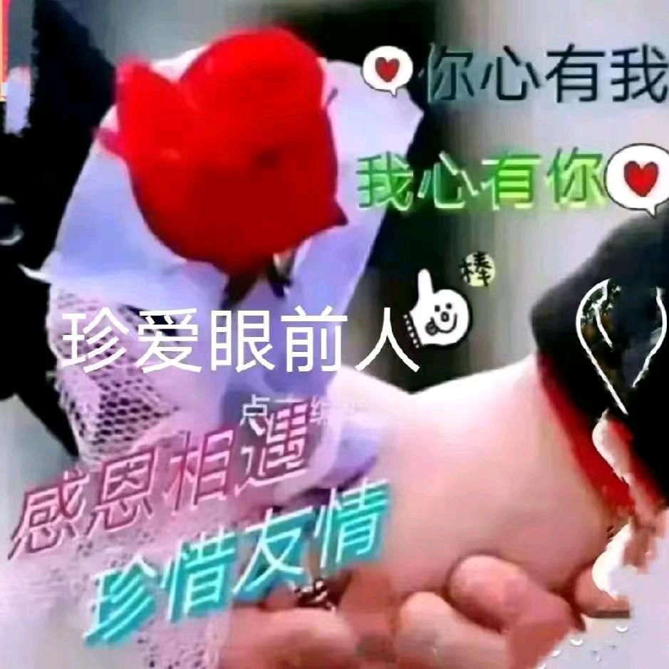 茶山玫瑰🌹花开隨缘
