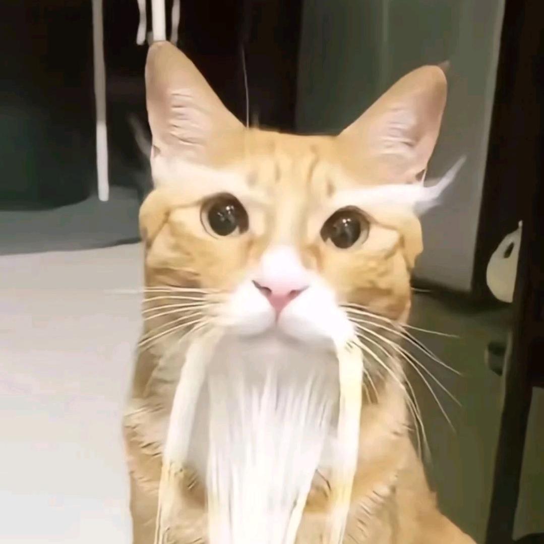 哈基仙
