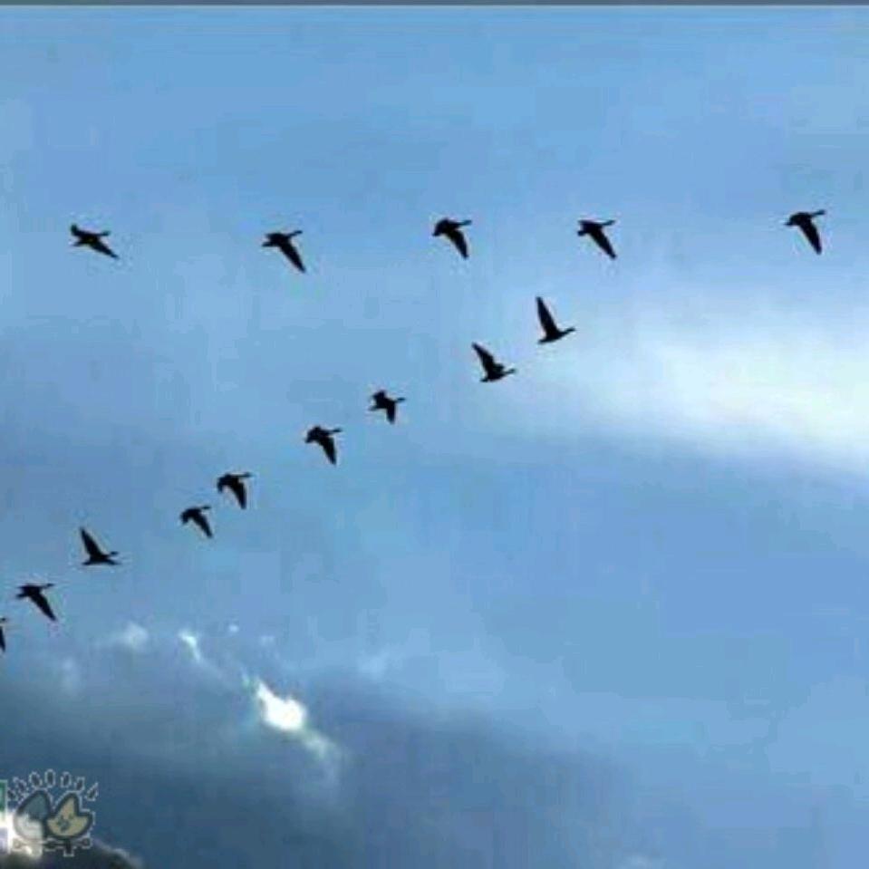 云淡风轻）