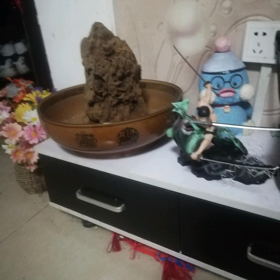 芒果大熊猫
