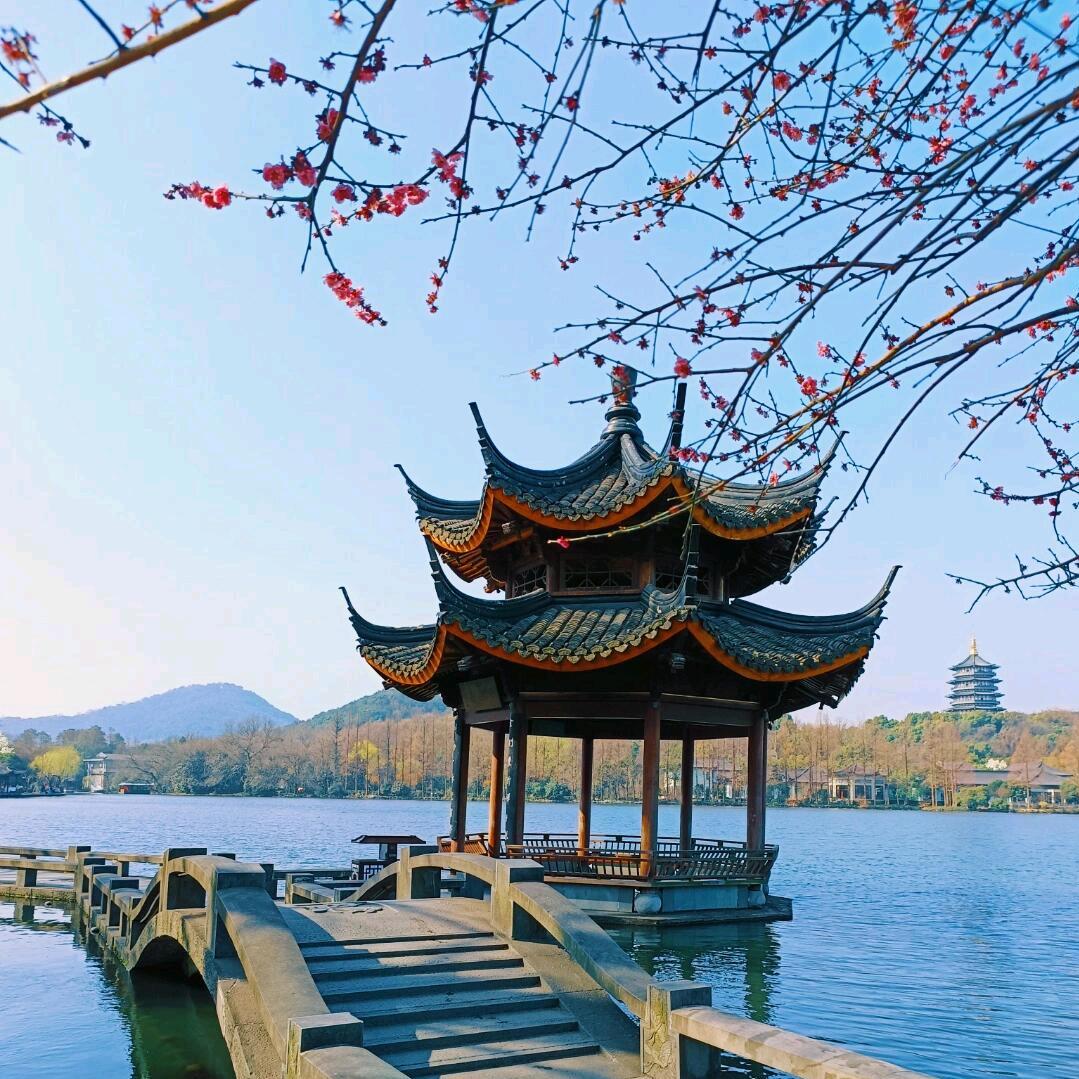 花🌸