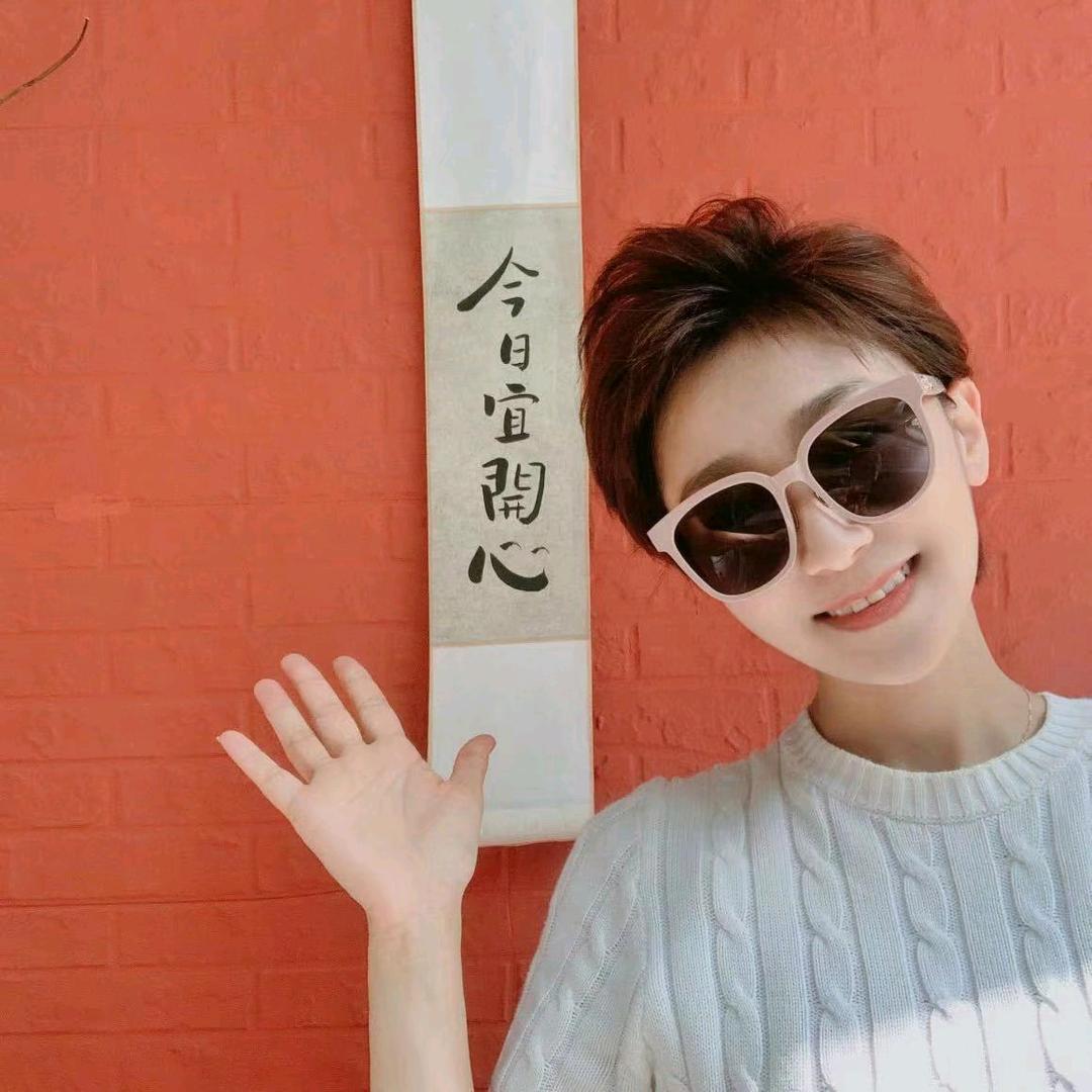 5只懒羊羊
