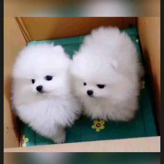 我的世界只有你