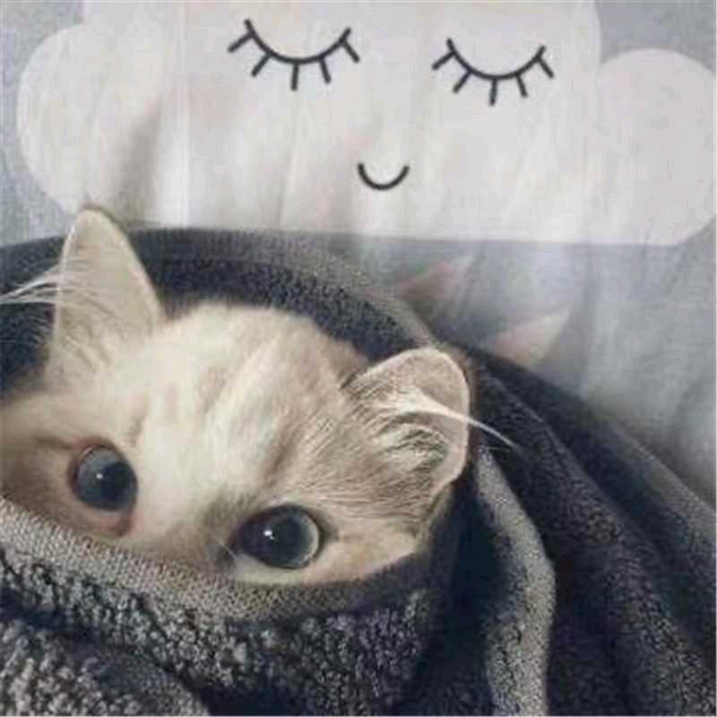 凉生初雨的橱窗