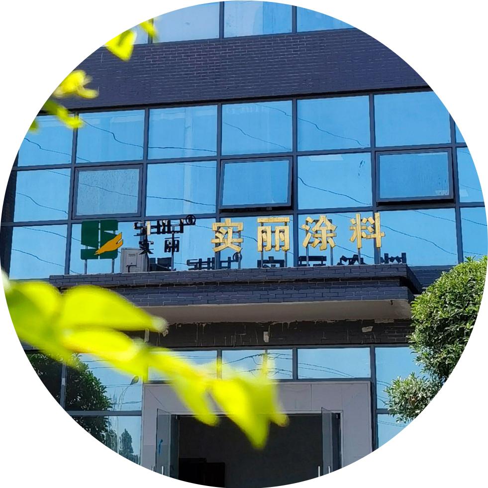 实丽艺术涂料