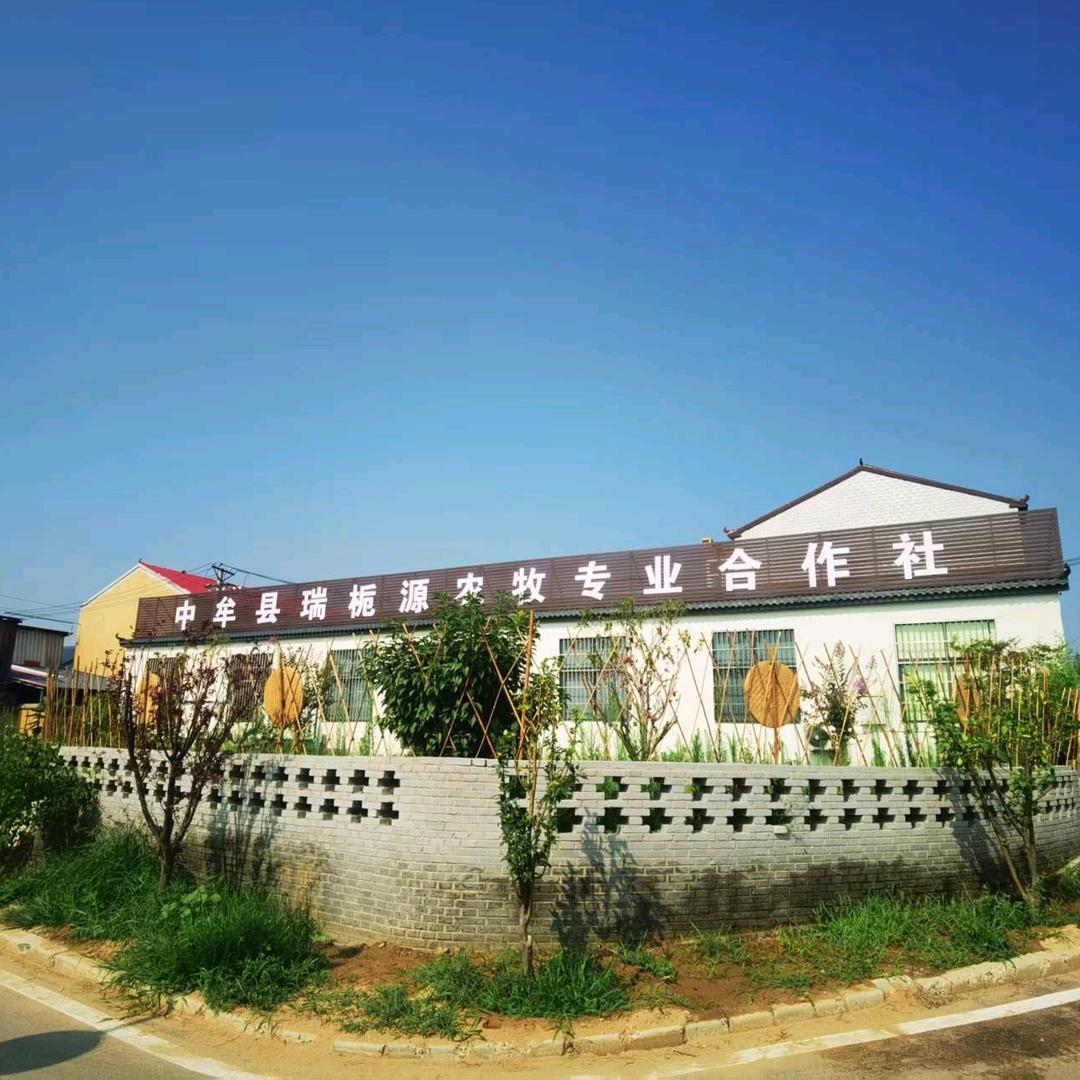 中牟县瑞栀源合作社
