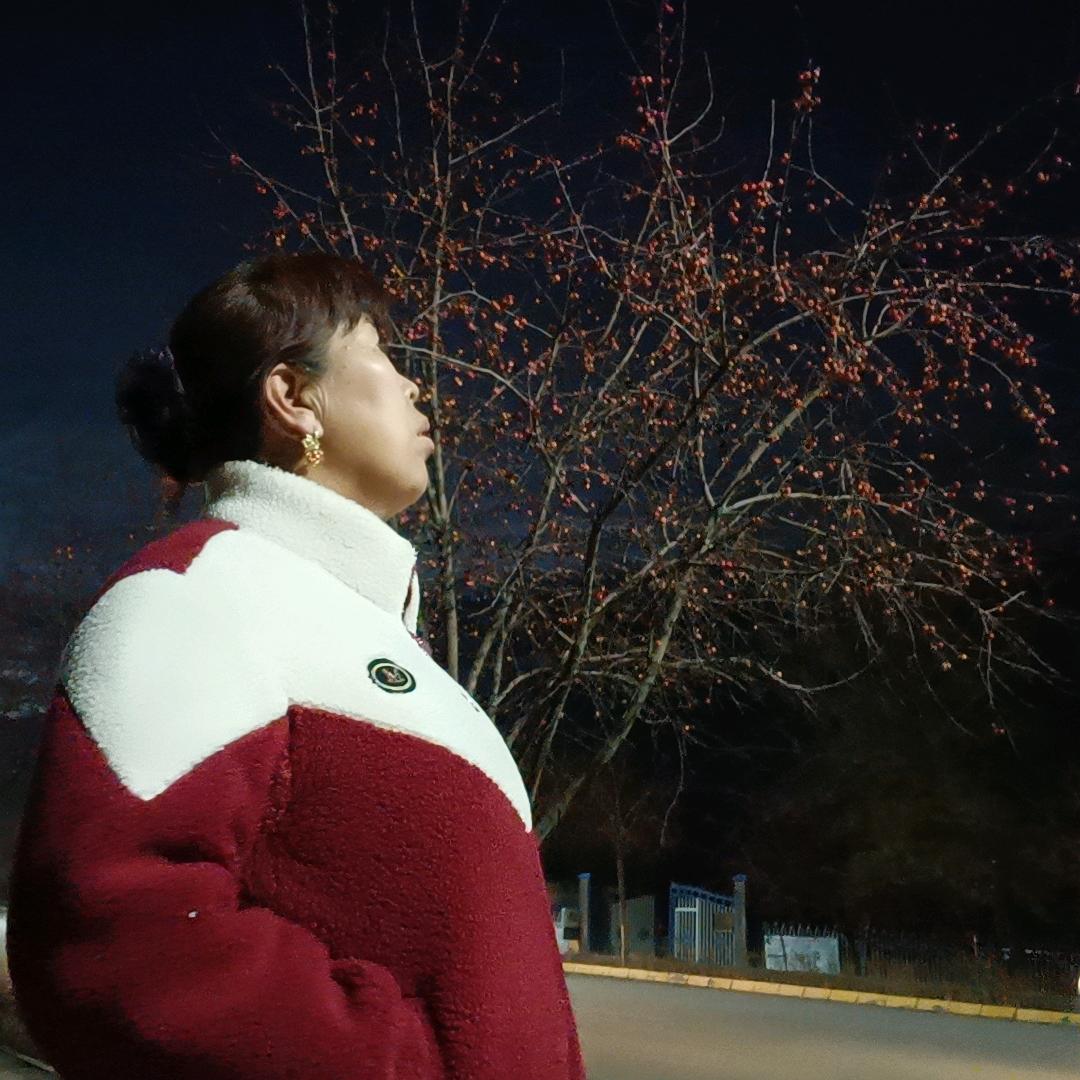 梅花香自苦耐寒