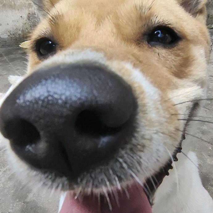 纯情后妈火辣辣