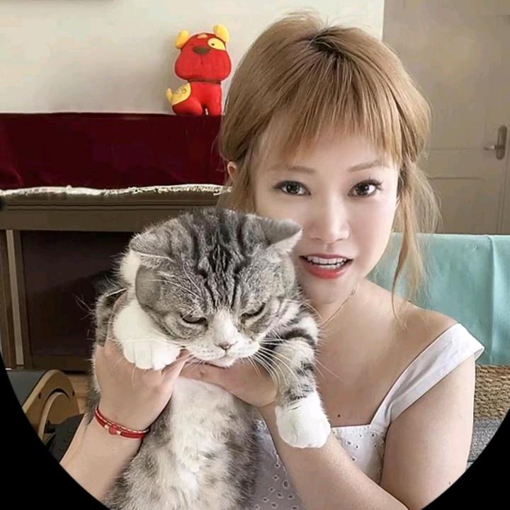 娜月cat