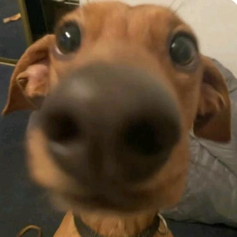 我不信你两眼空空