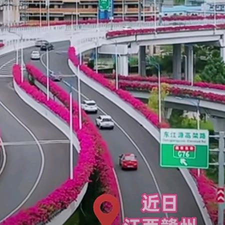 你开心我快乐！