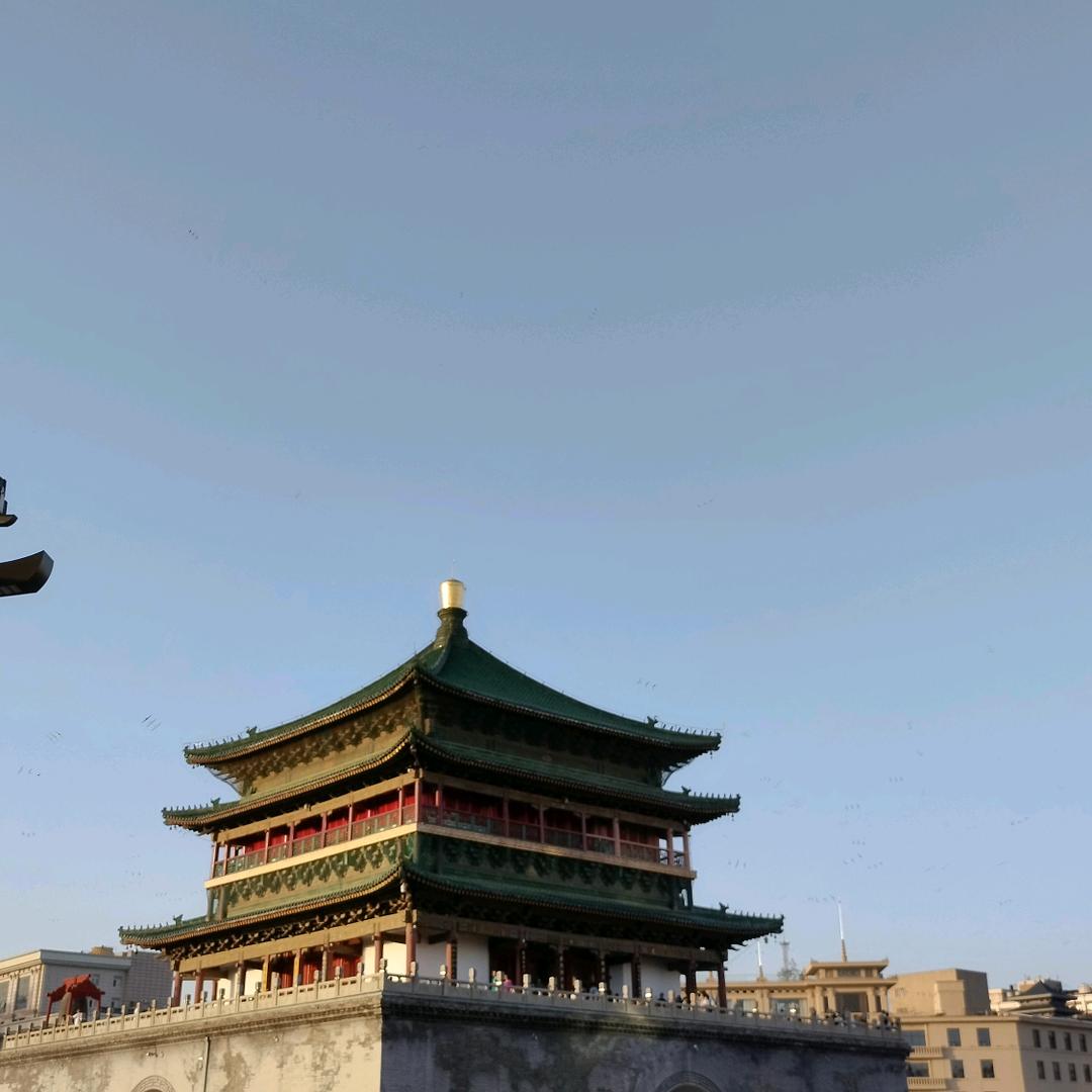 12龙哥