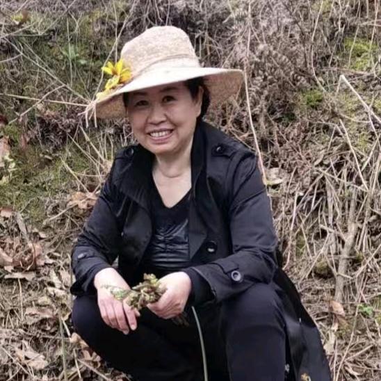 霞侠侠2（13:36）