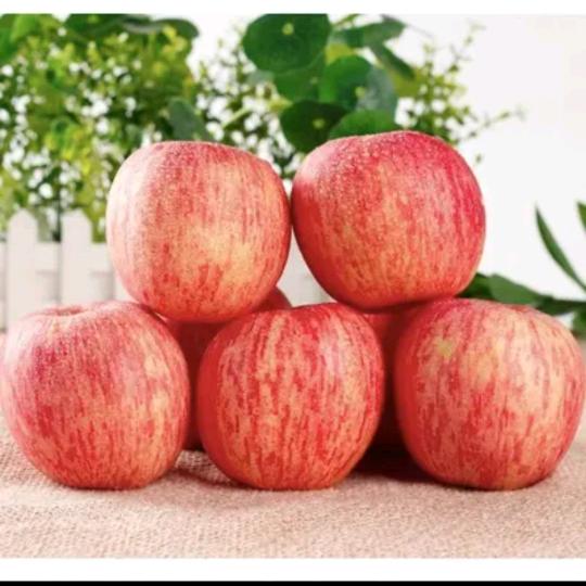 人不知而不愠【互】