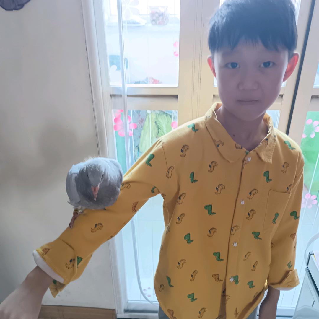 送孙子