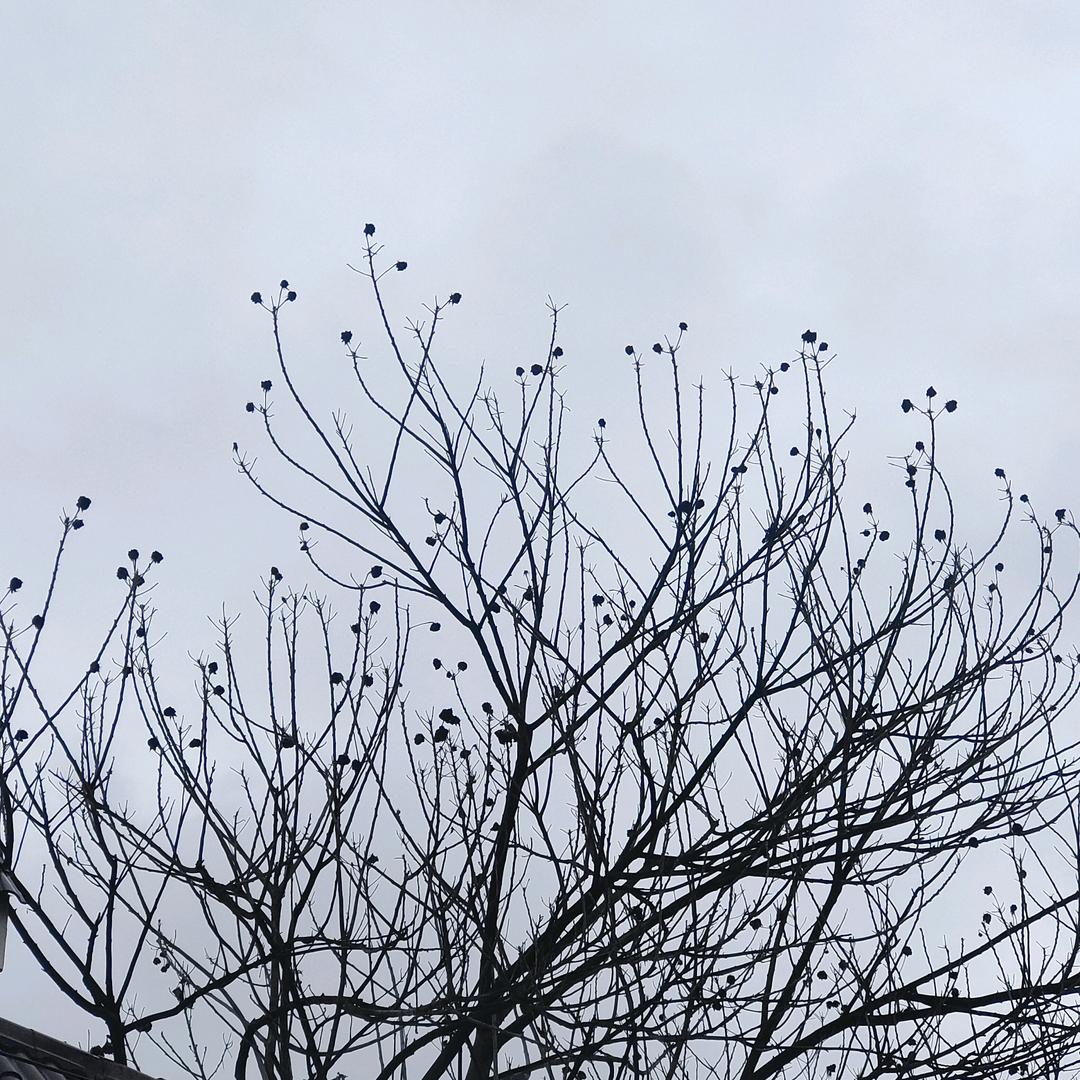 用户7857287962391