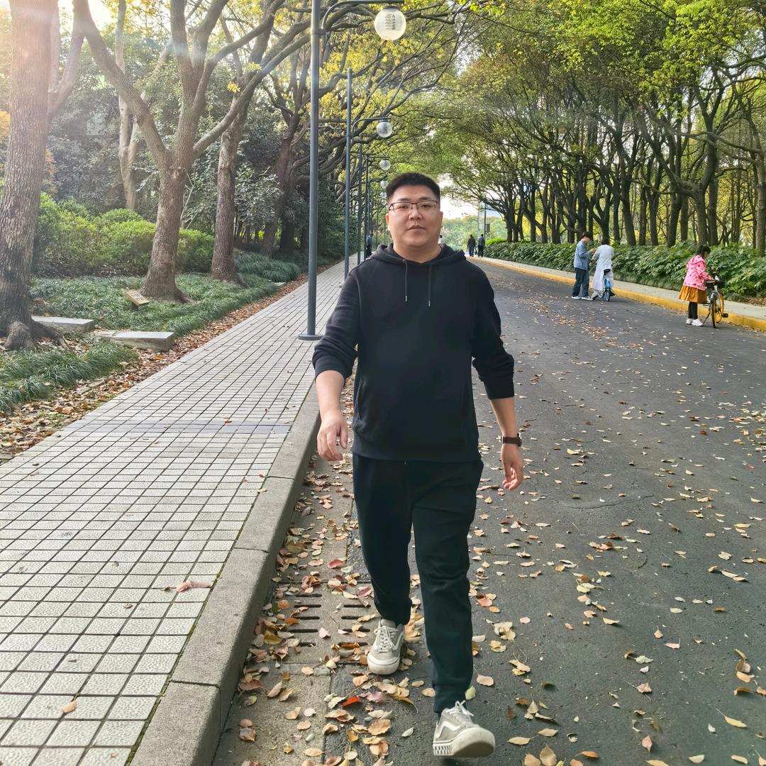 汀汀猫｜何建强