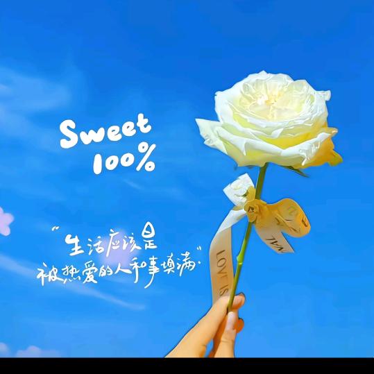 ˗ˋˏ꒰ঌ 予乐໒꒱ྀ