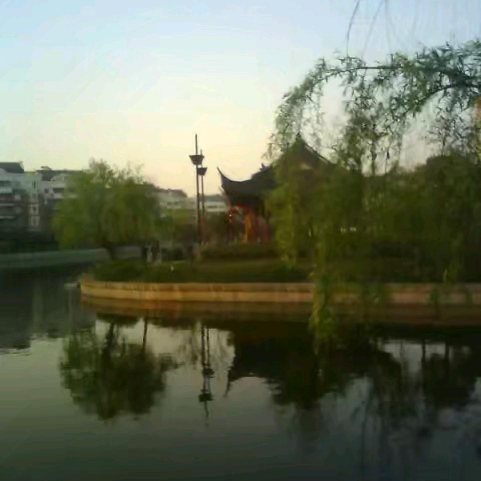月光下的桃花