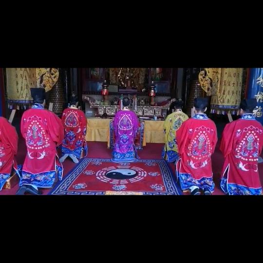 玄禛爱抓飘