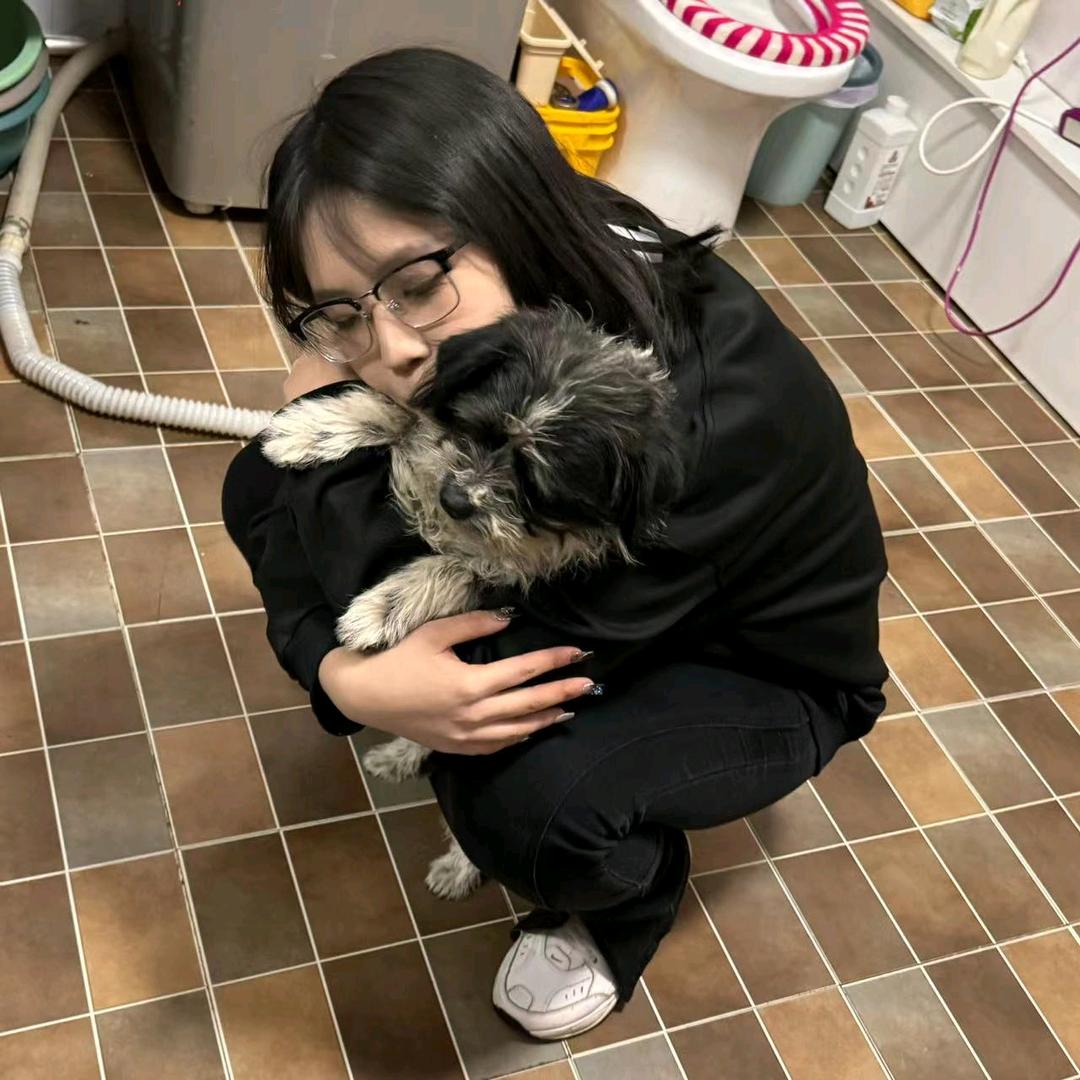 是柯不是珂