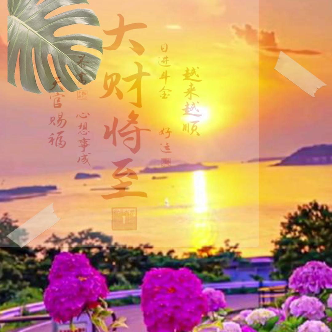 向阳而生