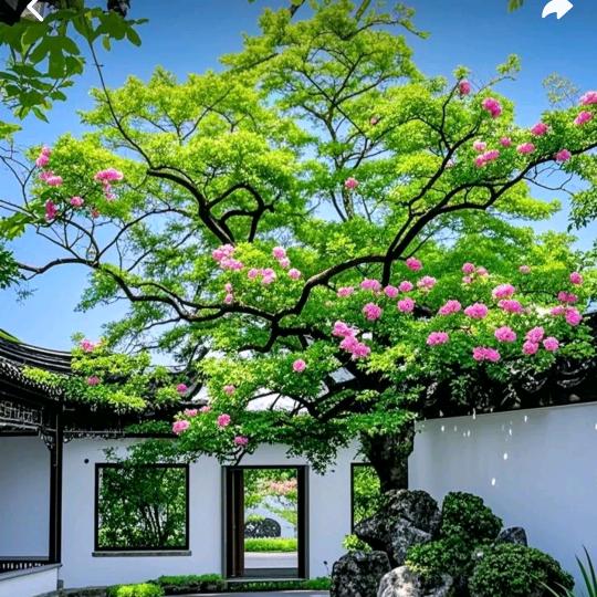 点点-
