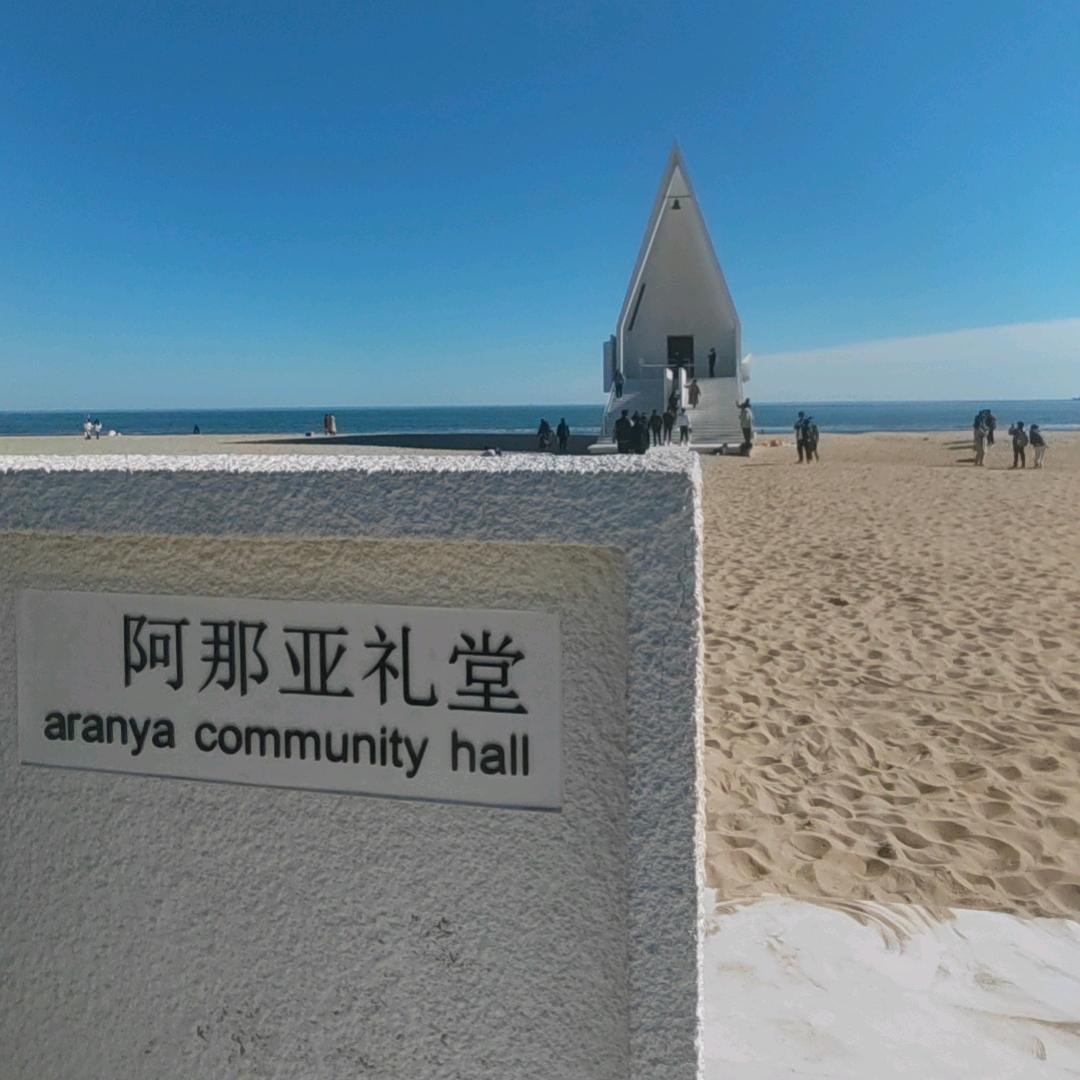 涛 哥