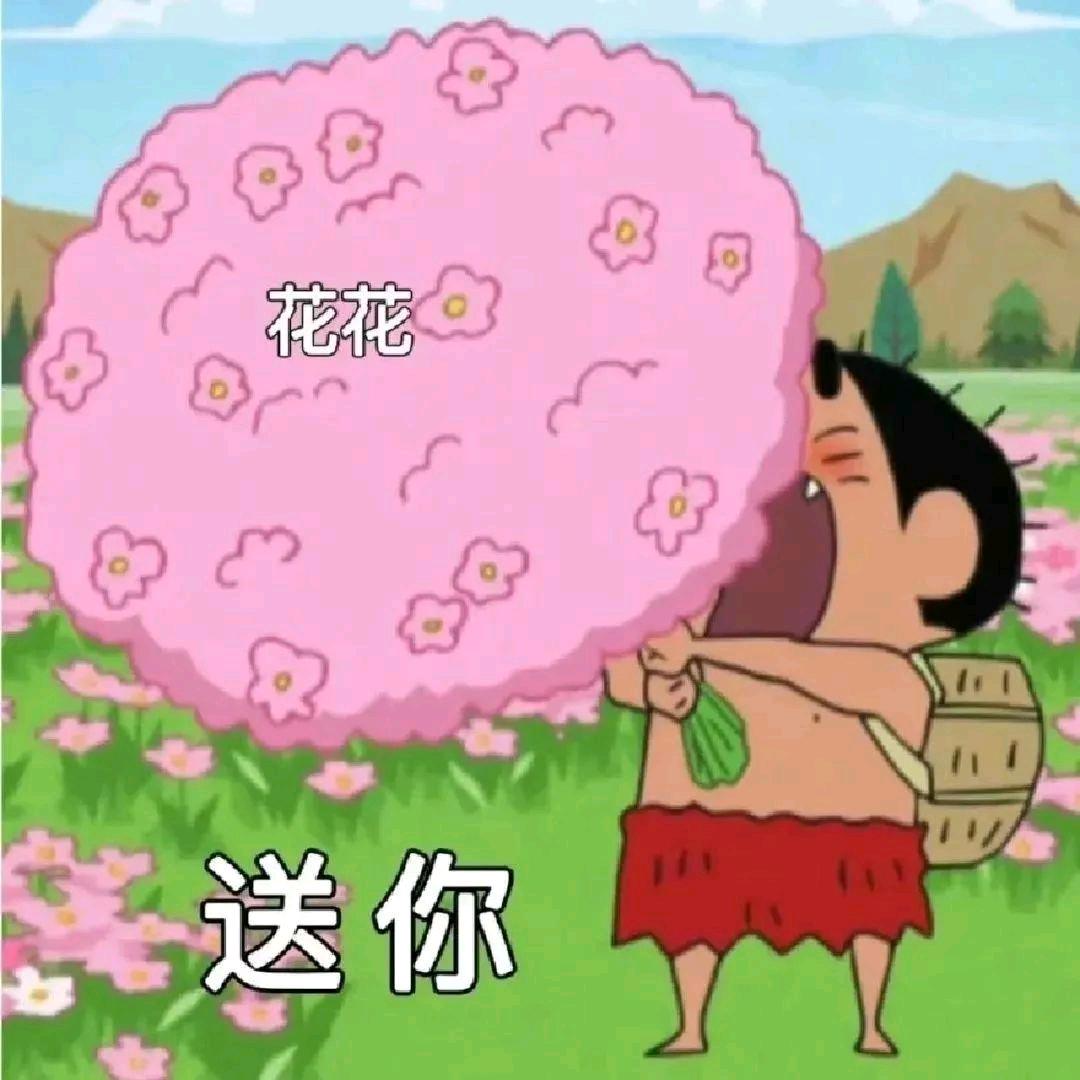 PENG明月🌙🌙🌙