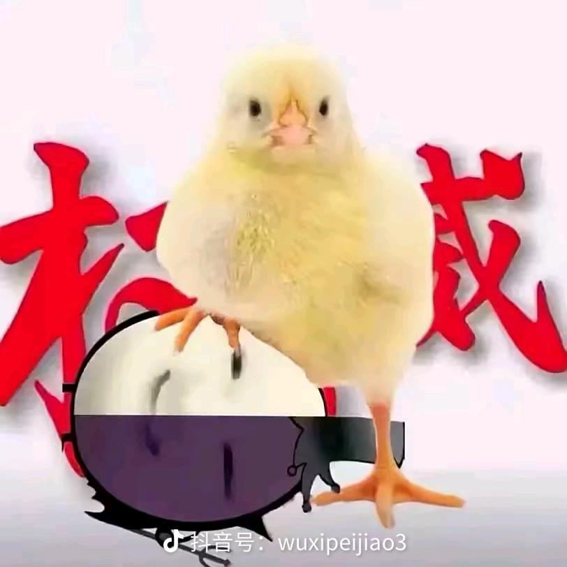 消灭西红柿