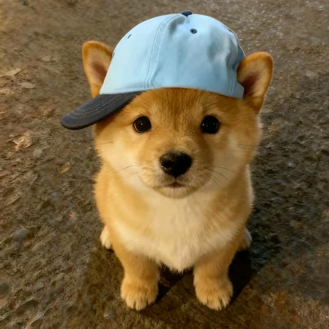 晴天有点孤单