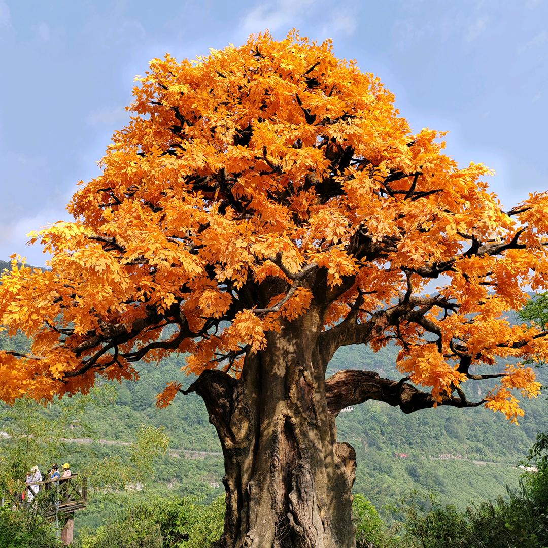 💍ঞ与陈₅₂₀相雍💞᭄࿐