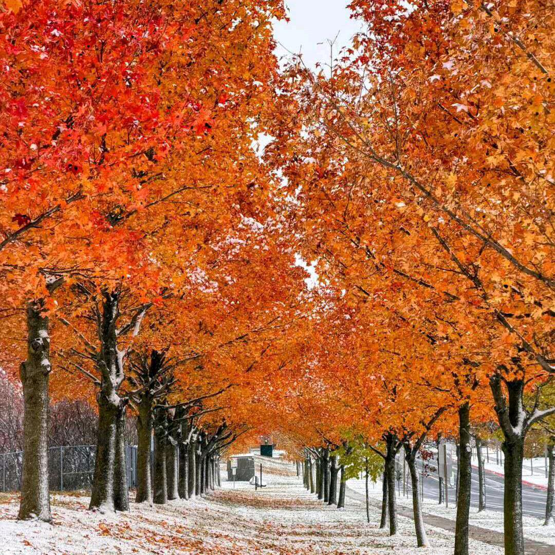 一世祥和，平安喜乐