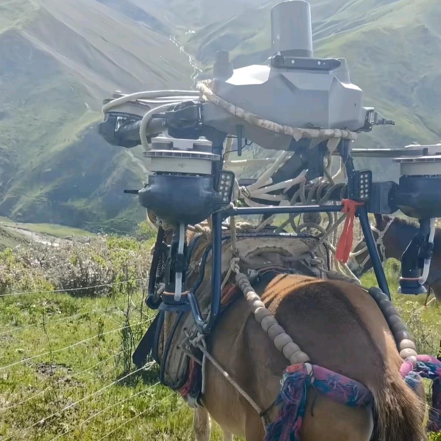 ( *・ω・)✄╰ひ╯