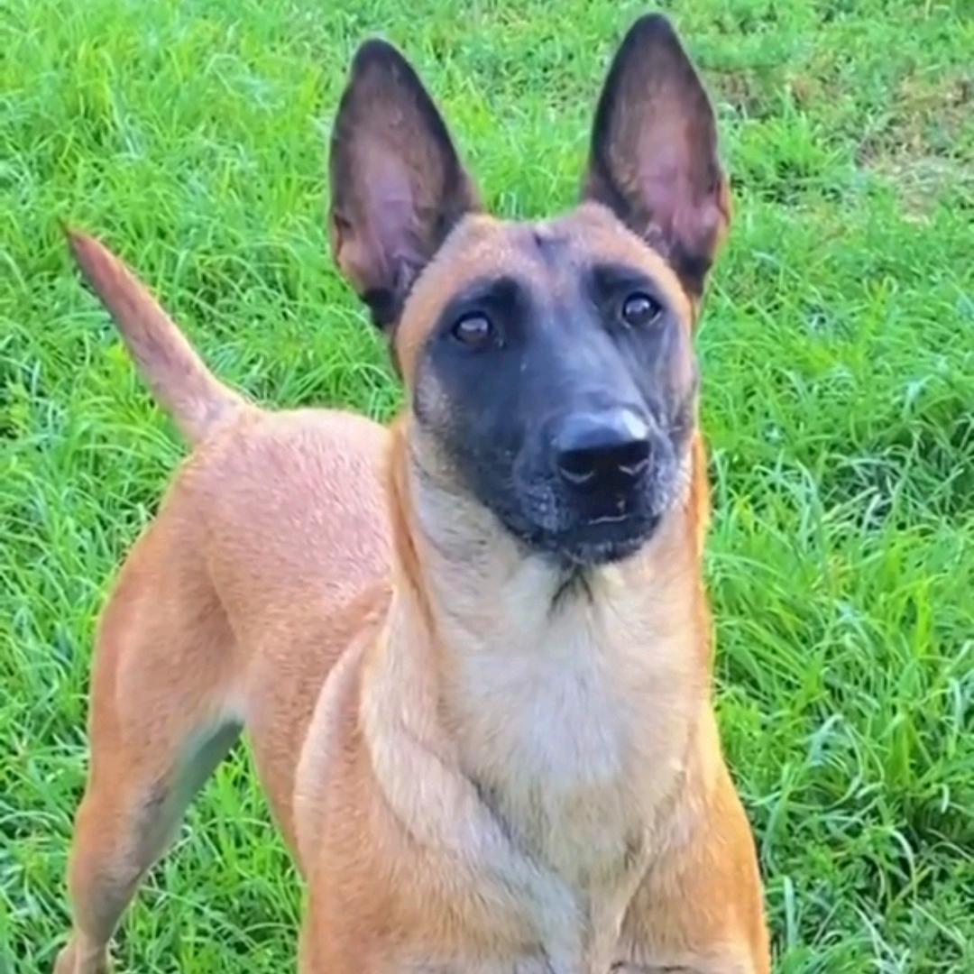 浩羽山庄（静姐）